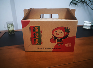 聖女(nǚ)果/蔬菜包裝禮盒