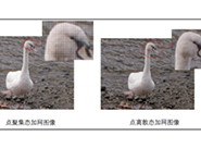 通(tōng)過對(duì)Matlab進行(xíng)印刷網點信息的(de)模拟與再現(xiàn)測試，我們從(cóng)中能(néng)學習(xí)到(dào)那(nà)些(xiē)東(dōng)西(xī)呢(ne)？