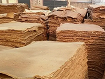 美(měi)國(guó)巨頭TekniPlex要(yào)投資3.5億新建一(yī)個(gè)紙(zhǐ)漿模塑工(gōng)廠(chǎng)