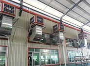 夏天高(gāo)溫天氣一(yī)直持續，為(wèi)了(le)保證能(néng)正常生(shēng)産，印刷廠(chǎng)裡(lǐ)應該如(rú)何進行(xíng)通(tōng)風(fēng)降溫？